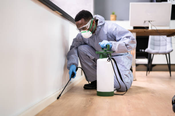 Best Pest Exclusion Services  in Mooreland, OK